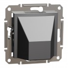 Кабельний ввід побутова без заземлення Schneider Electric Asfora IP20 Антрацит (EPH5500171)
